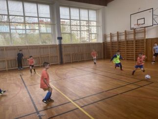 430050306_381381698136329_7667159272684742479_n 430050306_381381698136329_7667159272684742479_n