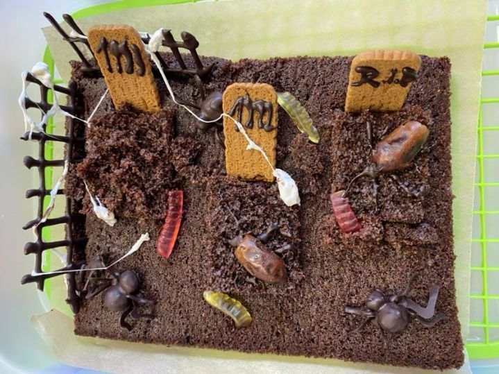 462545475_1073691277743864_3205600362772830117_n