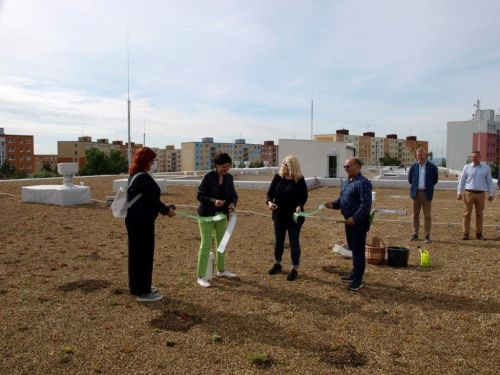 Zelená střecha Zelená střecha